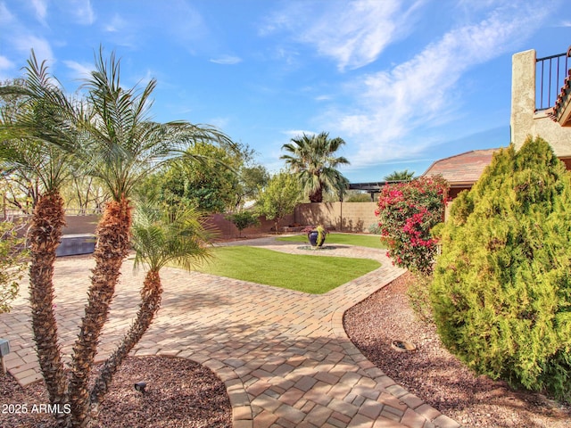 view of yard featuring a patio area