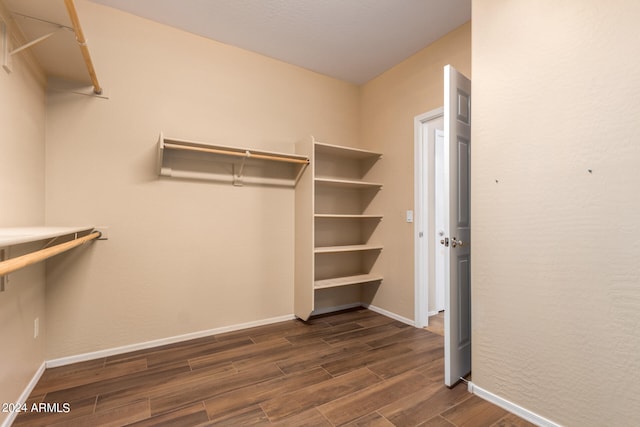 spacious closet featuring dark hardwood / wood-style floors