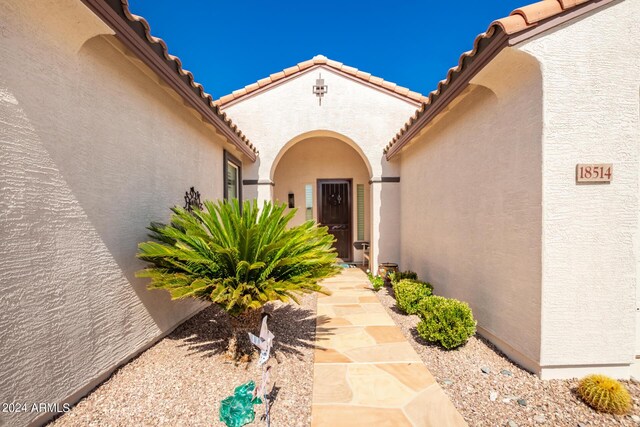 doorway to property featuring stucco siding and a tile roof