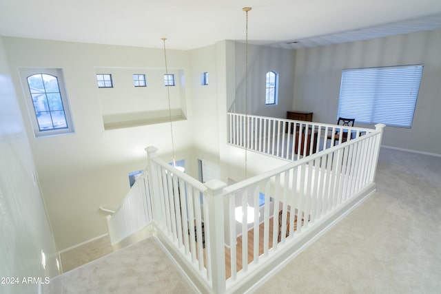 staircase with carpet floors