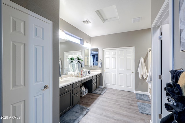 bathroom with hardwood / wood-style flooring and vanity