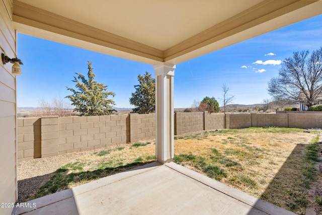 view of yard featuring a patio area and a fenced backyard