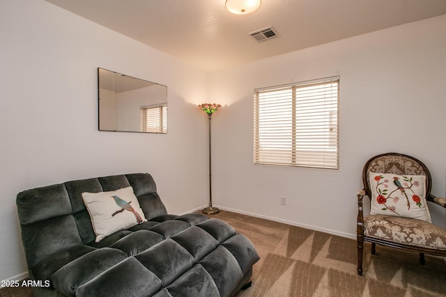 sitting room featuring carpet floors