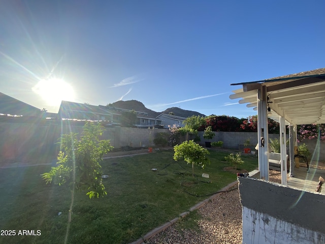 10006 N 7th Pl, Phoenix, AZ 85020 - view of yard