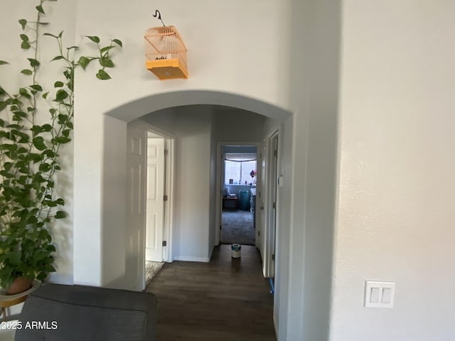 10006 N 7th Pl, Phoenix, AZ 85020 - hall featuring arched walkways, dark wood-style floors, and baseboards