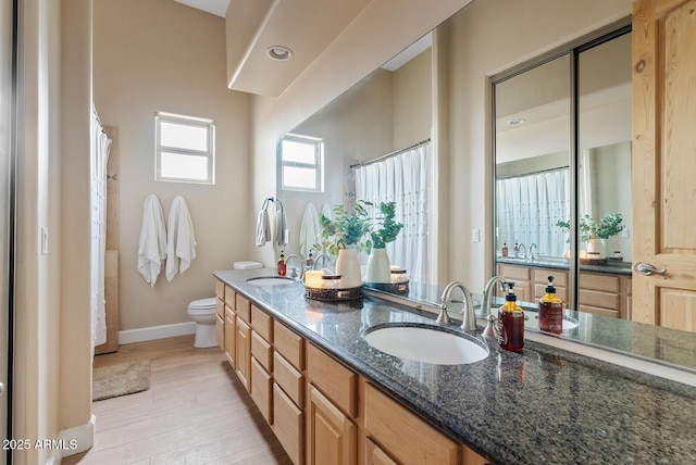 bathroom with vanity, hardwood / wood-style floors, and toilet