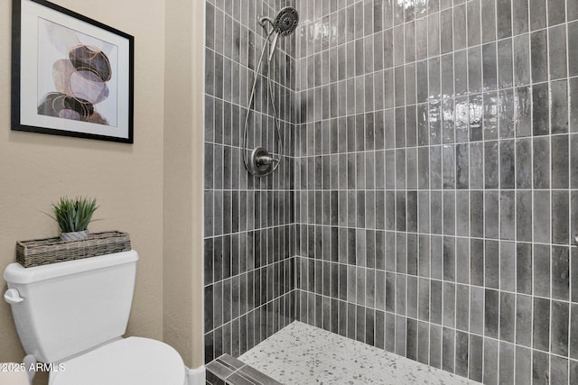 20151 E Via Del Palo St, Queen Creek, AZ 85142 - bathroom with toilet and tiled shower