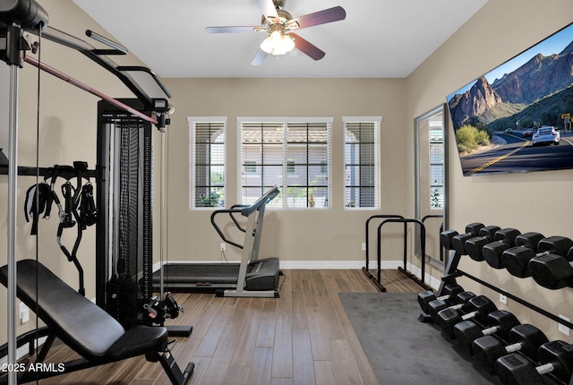 20151 E Via Del Palo St, Queen Creek, AZ 85142 - exercise room featuring healthy amount of natural light, a ceiling fan, and wood finished floors
