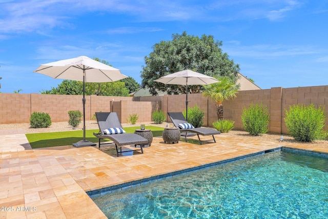 20151 E Via Del Palo St, Queen Creek, AZ 85142 - view of pool featuring a fenced backyard and a patio