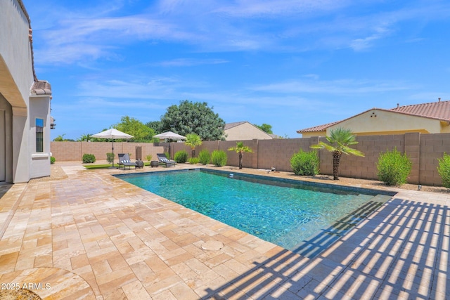 20151 E Via Del Palo St, Queen Creek, AZ 85142 - view of pool featuring a patio area and a fenced backyard