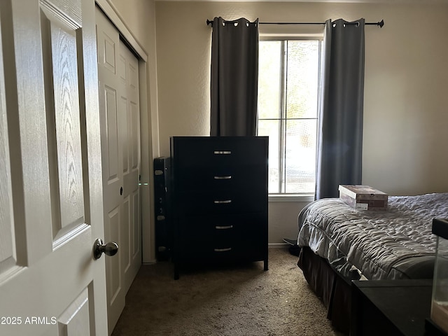 carpeted bedroom with a closet