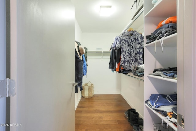 walk in closet with wood-type flooring