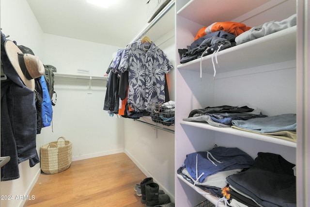 spacious closet featuring light hardwood / wood-style flooring