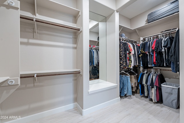 view of spacious closet