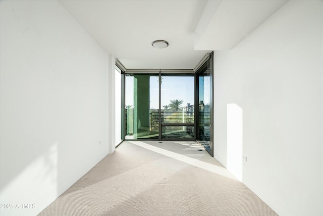 corridor featuring light colored carpet and a wall of windows