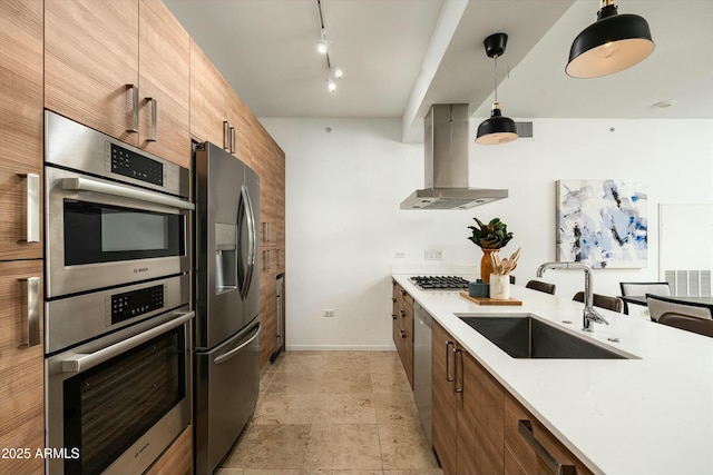 kitchen featuring rail lighting, island exhaust hood, stainless steel appliances, decorative light fixtures, and sink