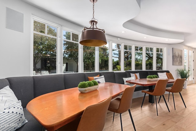 dining space featuring light hardwood / wood-style flooring and a tray ceiling