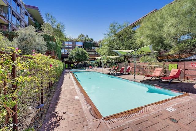 view of pool featuring a patio area