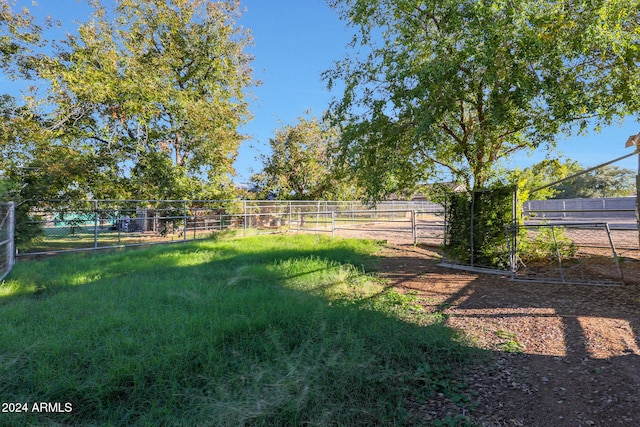 view of yard