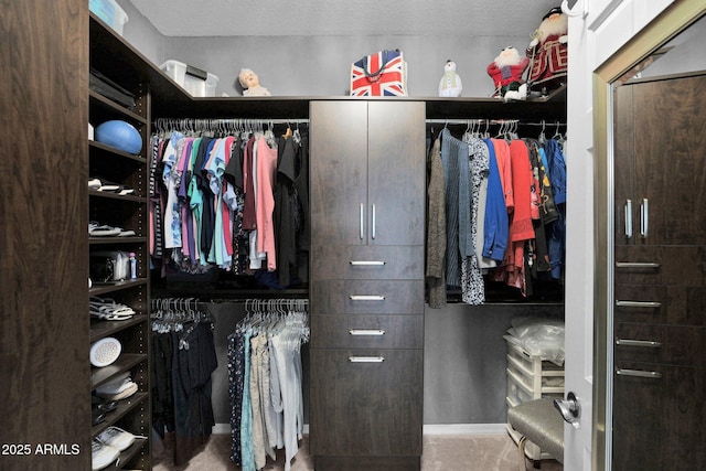 view of spacious closet