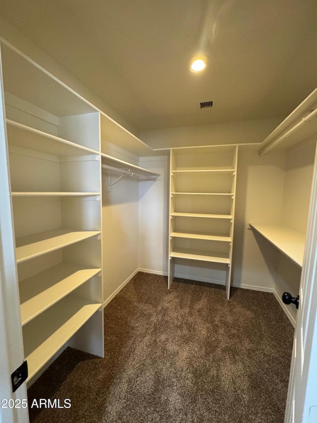 2077 N Lake Shore Dr, Casa Grande, AZ 85122 - walk in closet featuring carpet flooring and visible vents
