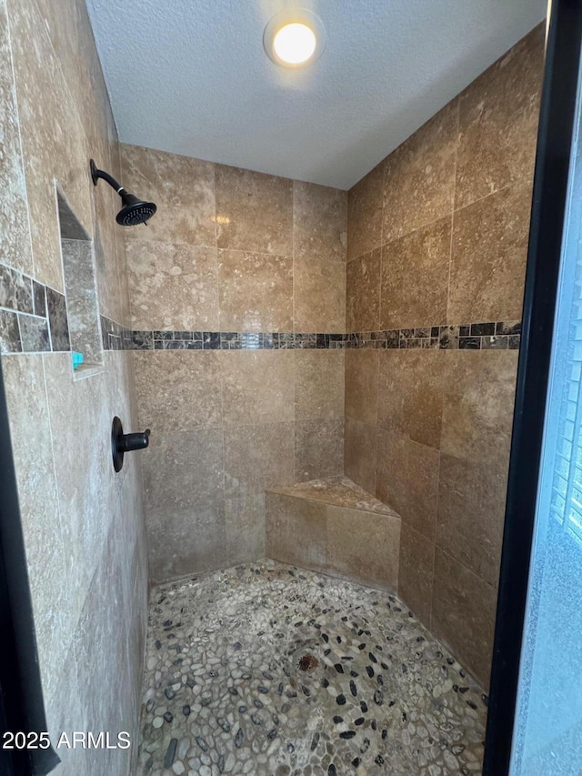 2077 N Lake Shore Dr, Casa Grande, AZ 85122 - full bath with tiled shower and a textured ceiling