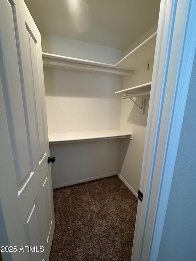 2077 N Lake Shore Dr, Casa Grande, AZ 85122 - spacious closet with dark colored carpet
