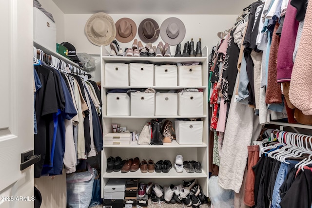 view of spacious closet