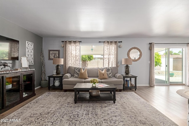 701 N 55th Pl, Mesa, AZ 85205 - living room featuring plenty of natural light, wood finished floors, and baseboards