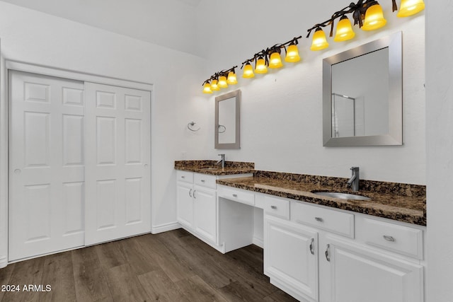 bathroom with vanity and wood-type flooring