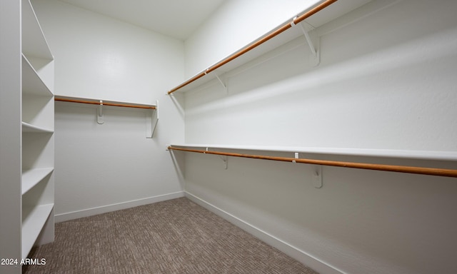 walk in closet featuring carpet