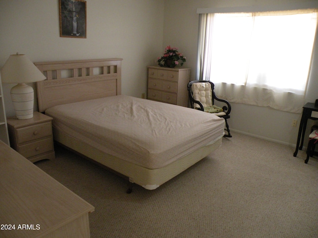 bedroom featuring carpet floors