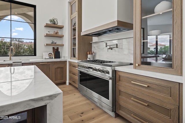 kitchen with premium range hood, light wood finished floors, a sink, decorative backsplash, and stainless steel stove