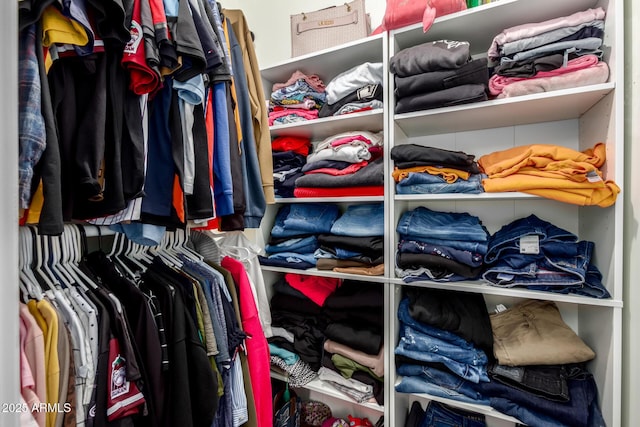 view of walk in closet