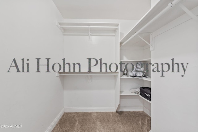 spacious closet with carpet flooring