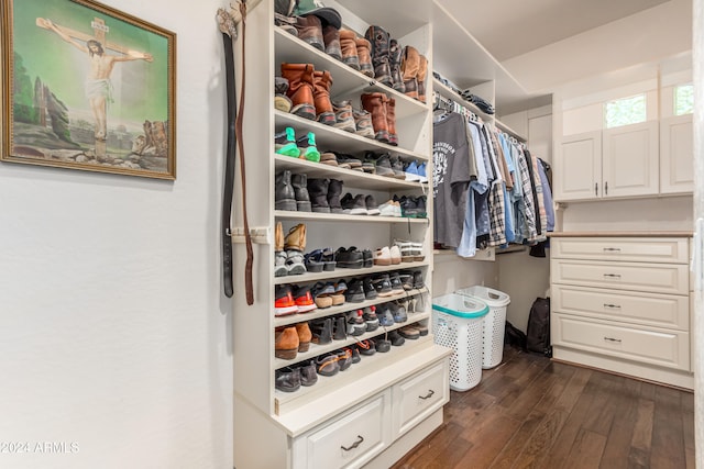 spacious closet with dark hardwood / wood-style flooring