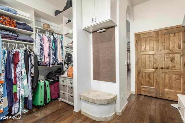 walk in closet featuring dark wood-type flooring