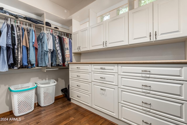 walk in closet featuring dark hardwood / wood-style flooring