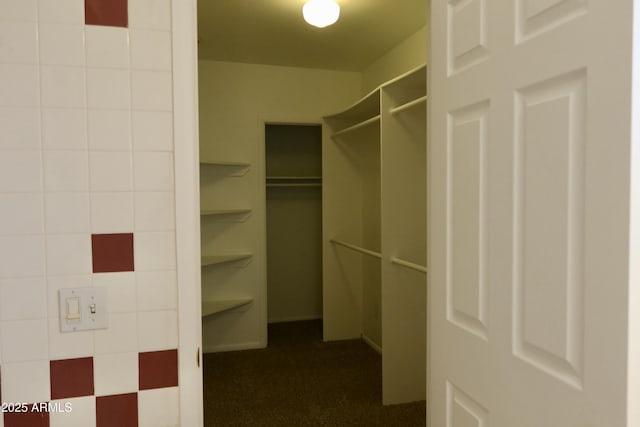 spacious closet featuring carpet floors