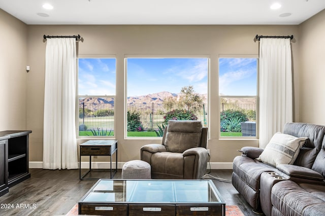 living room featuring a mountain view and wood-type flooring