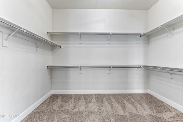 walk in closet featuring carpet floors