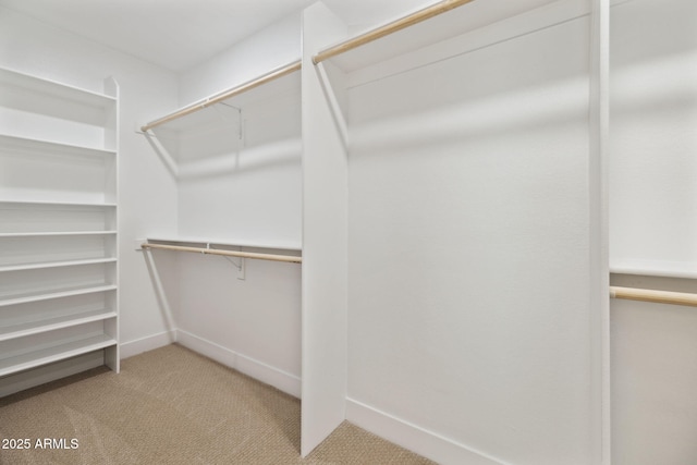 6761 E Juniper Ave, Scottsdale, AZ 85254 - walk in closet featuring light carpet