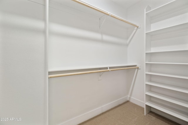 6761 E Juniper Ave, Scottsdale, AZ 85254 - walk in closet with light colored carpet