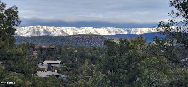 1907 E Cliff Rose Dr Unit 817, Payson, AZ 85541