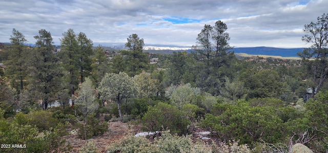 1907 E Cliff Rose Dr Unit 817, Payson, AZ 85541