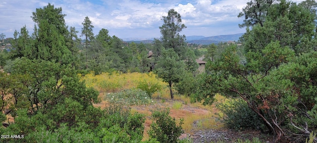 1907 E Cliff Rose Dr Unit 817, Payson, AZ 85541