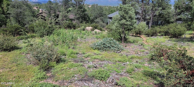 1907 E Cliff Rose Dr Unit 817, Payson, AZ 85541