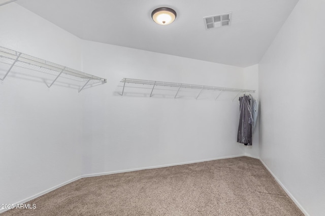 spacious closet featuring carpet flooring