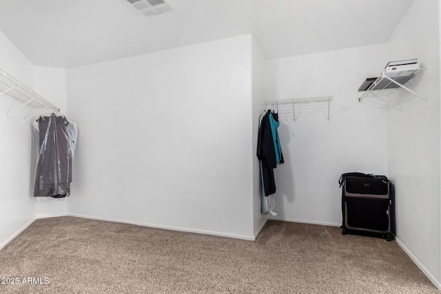 walk in closet featuring carpet floors