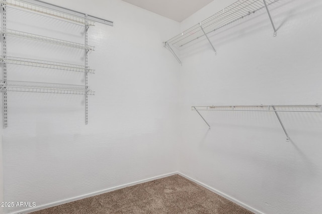 spacious closet with carpet floors